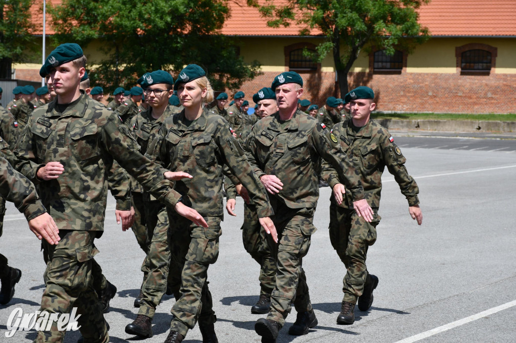 Tarnowskie Góry. Maszerowali i śpiewali [GALERIA]