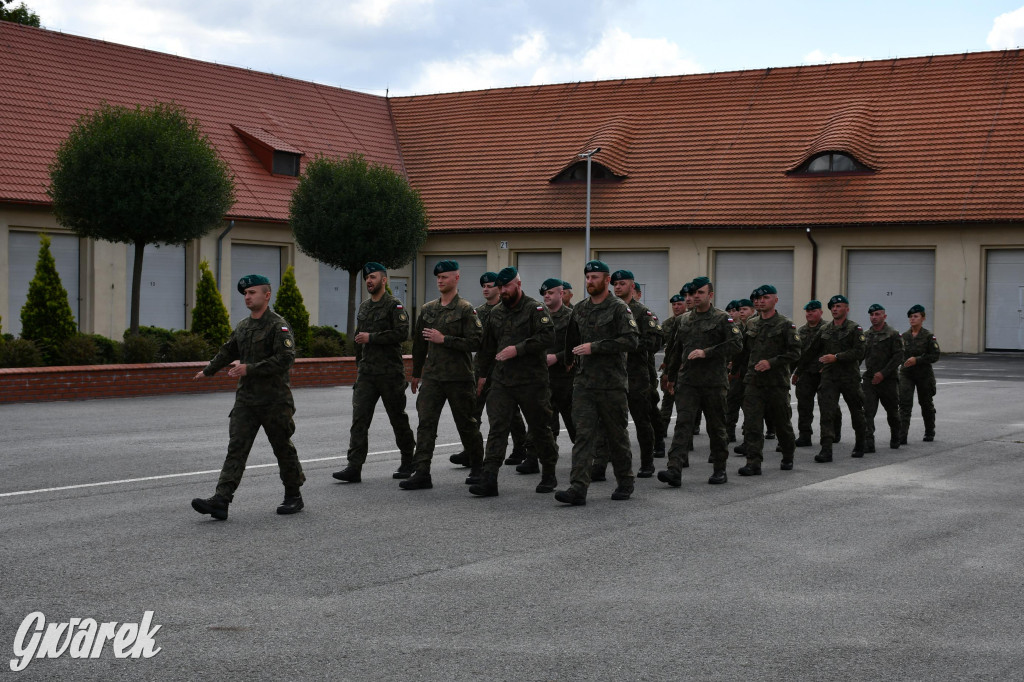 Tarnowskie Góry. Maszerowali i śpiewali [GALERIA]