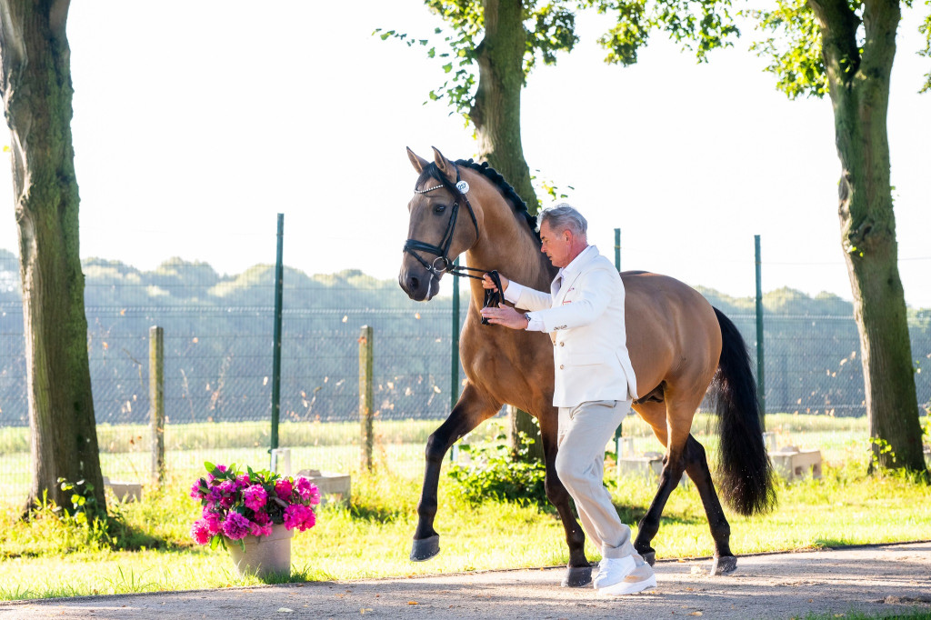 Nasi na igrzyskach. Ujeżdżenie