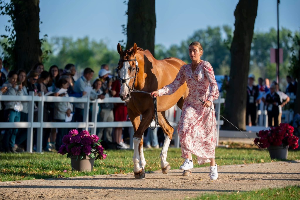 Nasi na igrzyskach. Ujeżdżenie