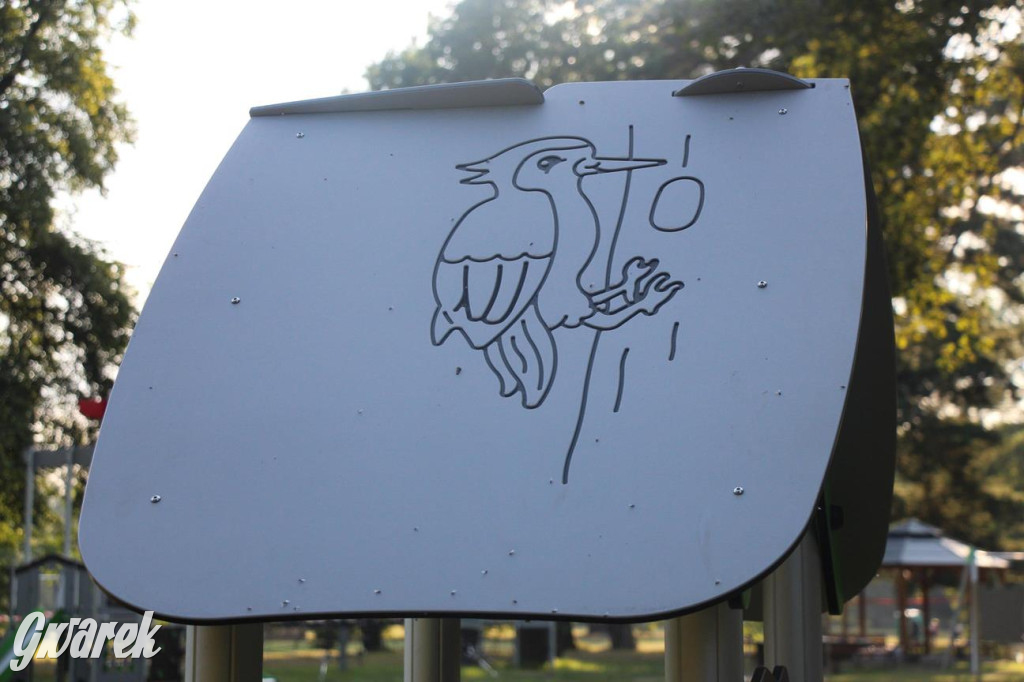 Place zabaw. Na który stawiacie?