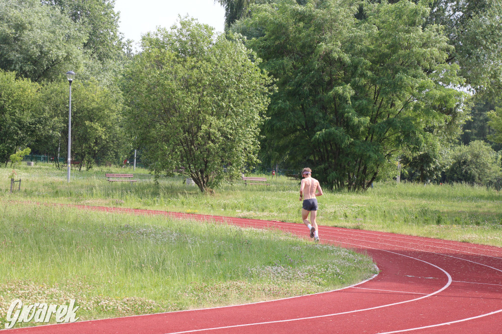 Place zabaw. Na który stawiacie?
