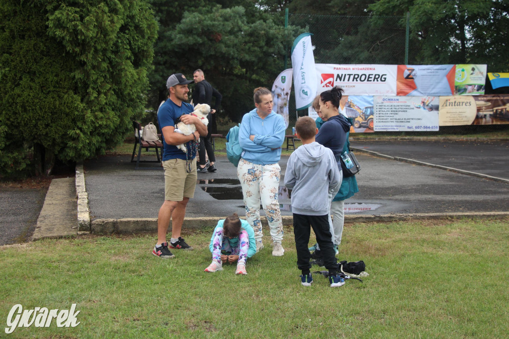 Szósta  szóstka w Kotach, czyli bieg i marsz na 6 km