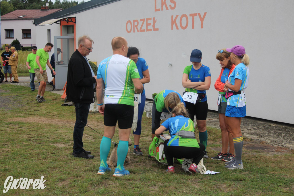 Szósta  szóstka w Kotach, czyli bieg i marsz na 6 km