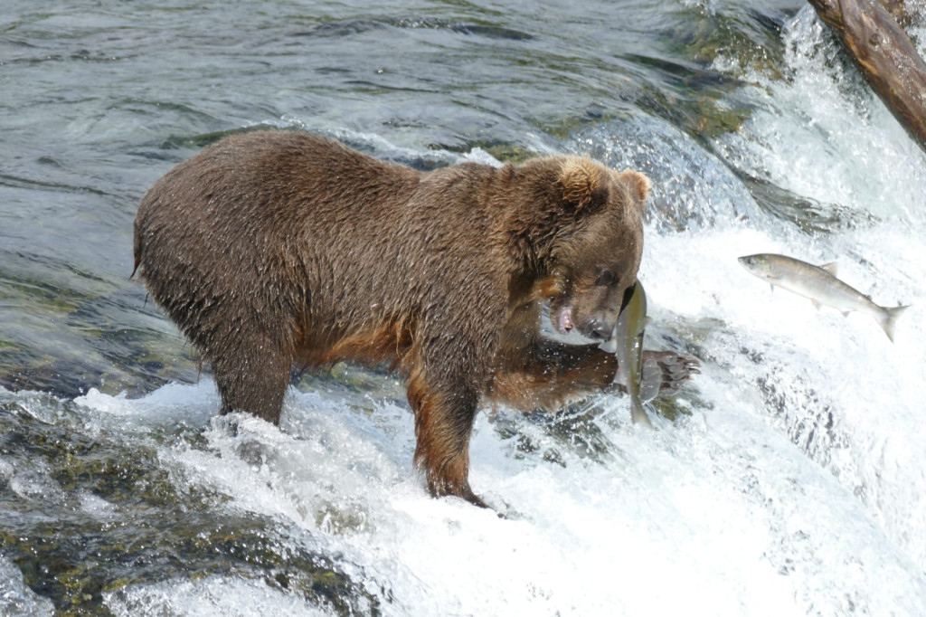 Podróże Grzegorza Sadowskiego. Zobaczcie zdjęcia!