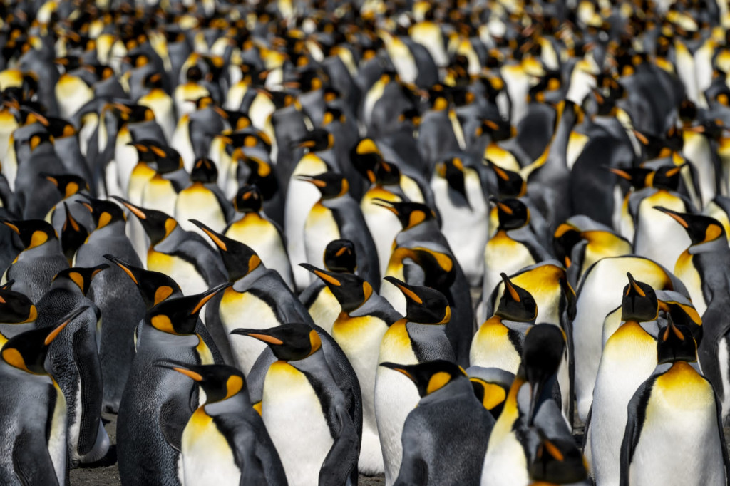 Podróże Grzegorza Sadowskiego. Zobaczcie zdjęcia!