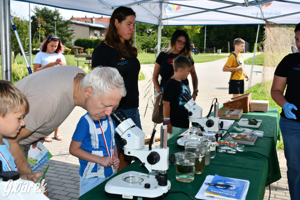 Czystsza Szarlejka, mikroskop i woda z saturatora