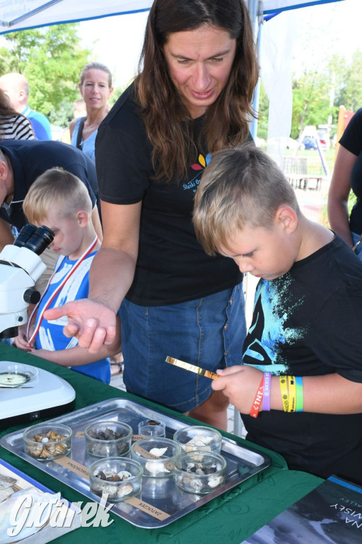 Czystsza Szarlejka, mikroskop i woda z saturatora