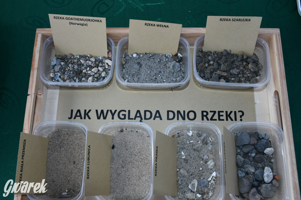 Czystsza Szarlejka, mikroskop i woda z saturatora