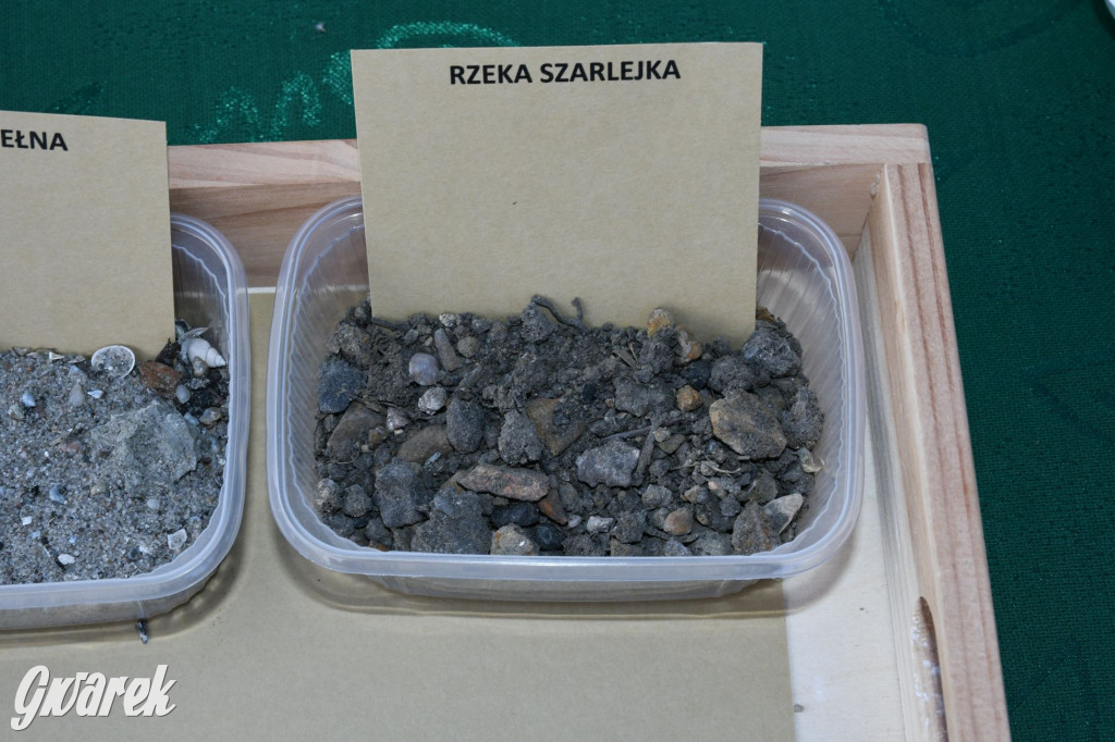 Czystsza Szarlejka, mikroskop i woda z saturatora