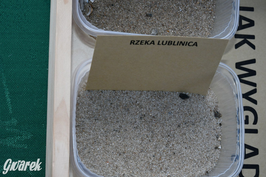 Czystsza Szarlejka, mikroskop i woda z saturatora