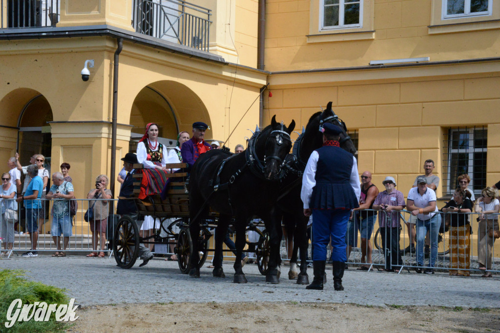 Międzynarodowy Konkurs Tradycyjnego Powożenia CIAT Koszęcin