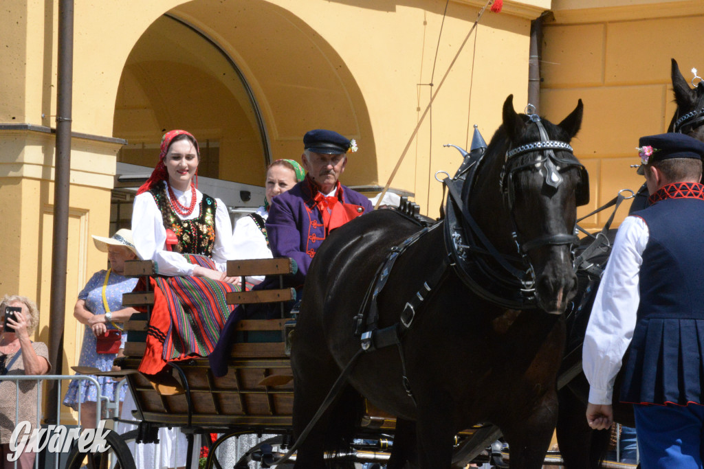 Międzynarodowy Konkurs Tradycyjnego Powożenia CIAT Koszęcin