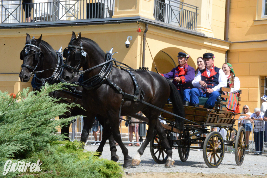 Międzynarodowy Konkurs Tradycyjnego Powożenia CIAT Koszęcin