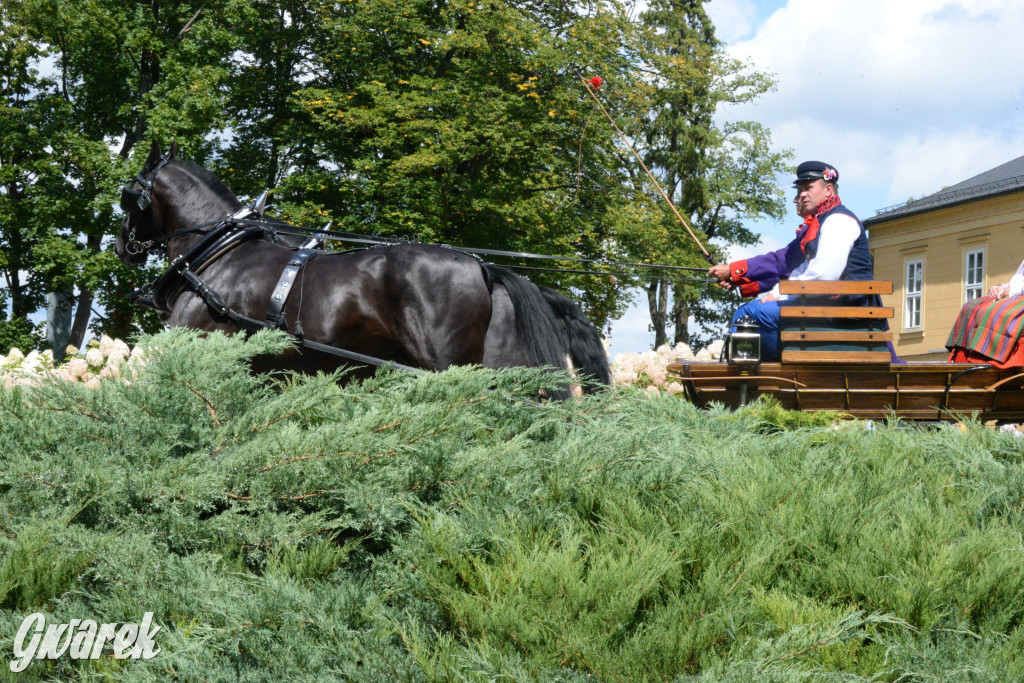 Międzynarodowy Konkurs Tradycyjnego Powożenia CIAT Koszęcin