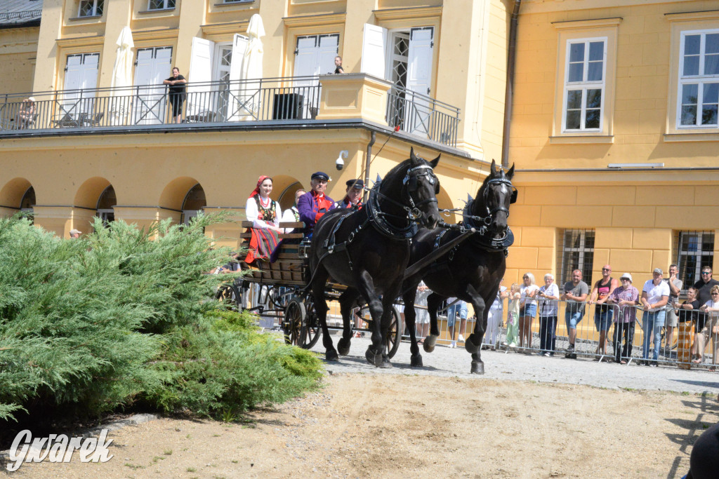 Międzynarodowy Konkurs Tradycyjnego Powożenia CIAT Koszęcin