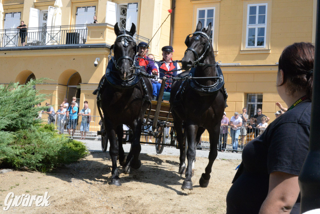 Międzynarodowy Konkurs Tradycyjnego Powożenia CIAT Koszęcin