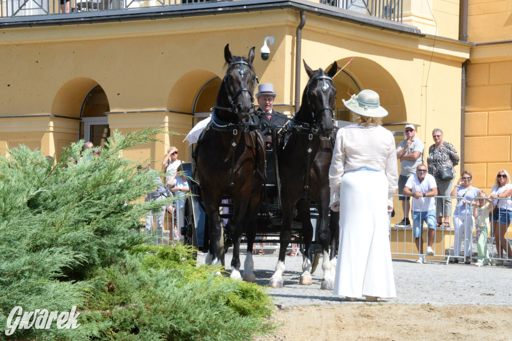 Międzynarodowy Konkurs Tradycyjnego Powożenia CIAT Koszęcin