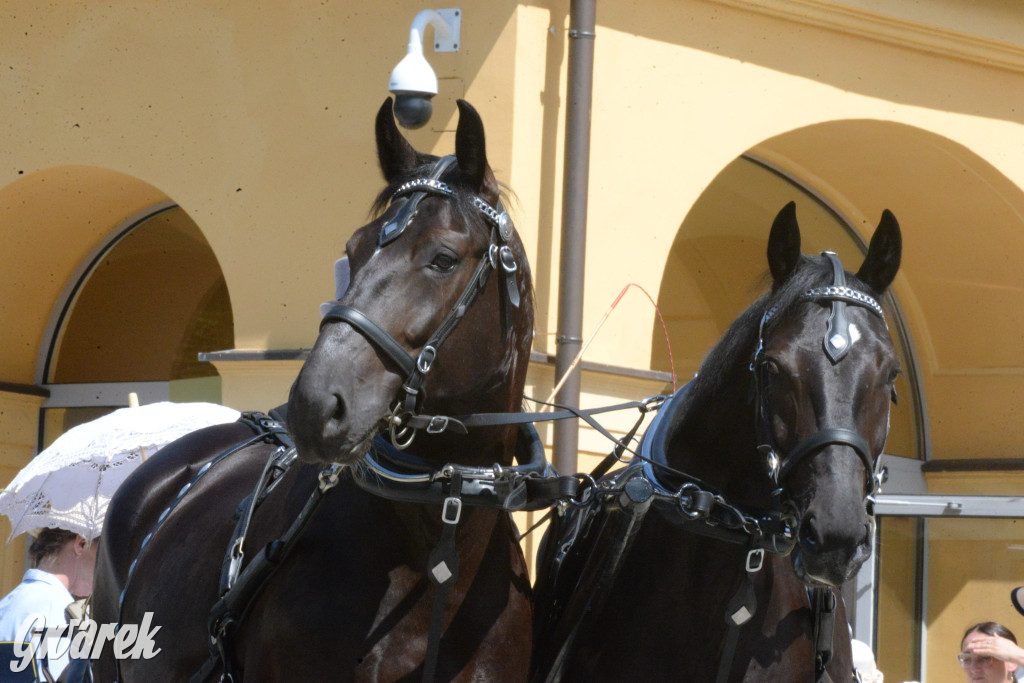 Międzynarodowy Konkurs Tradycyjnego Powożenia CIAT Koszęcin