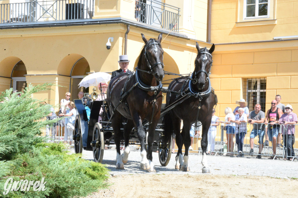 Międzynarodowy Konkurs Tradycyjnego Powożenia CIAT Koszęcin