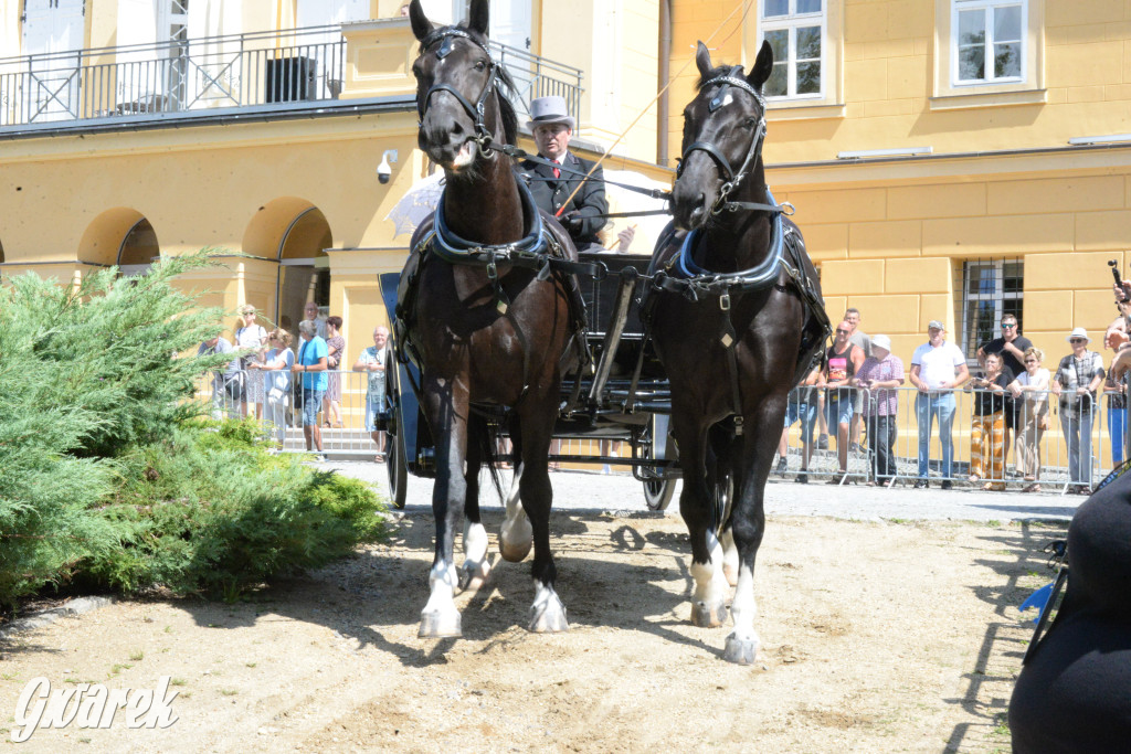 Międzynarodowy Konkurs Tradycyjnego Powożenia CIAT Koszęcin