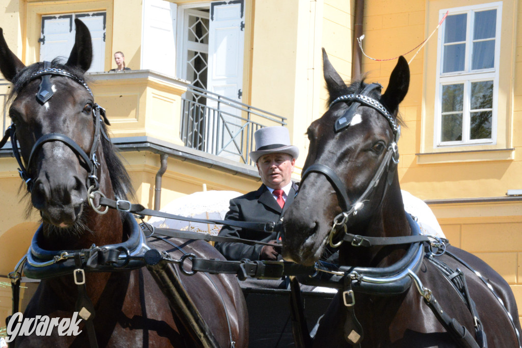 Międzynarodowy Konkurs Tradycyjnego Powożenia CIAT Koszęcin