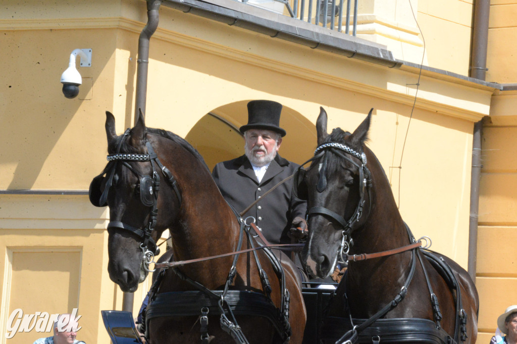 Międzynarodowy Konkurs Tradycyjnego Powożenia CIAT Koszęcin