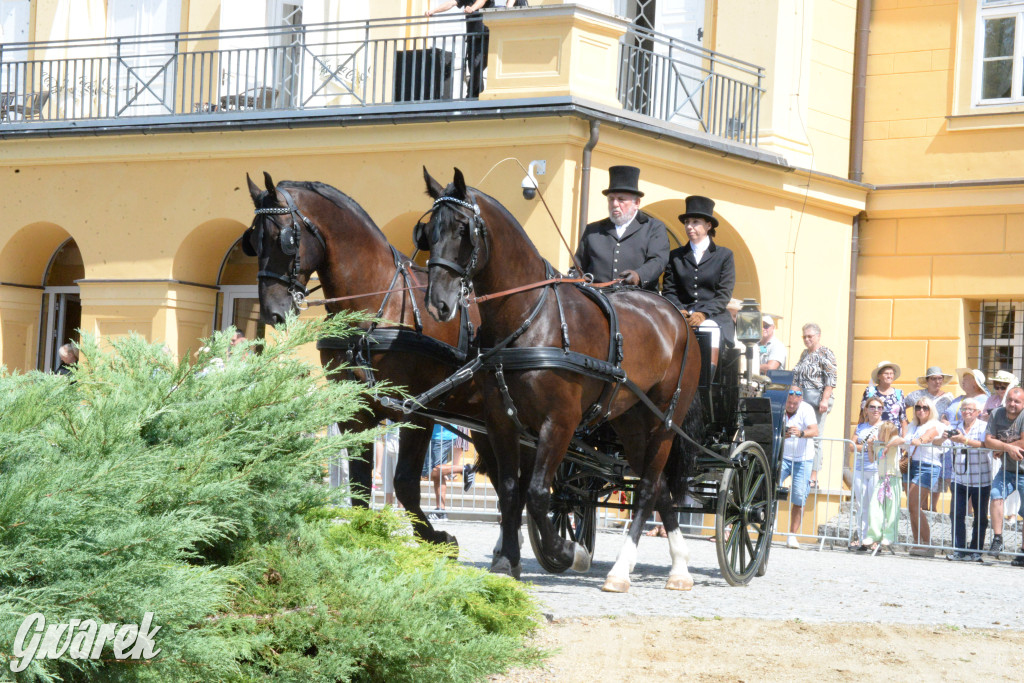 Międzynarodowy Konkurs Tradycyjnego Powożenia CIAT Koszęcin