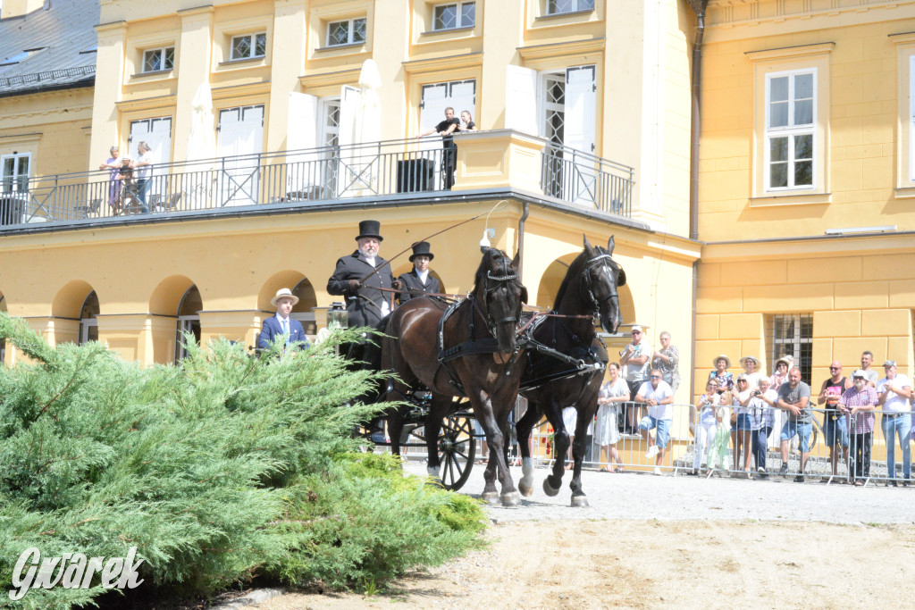 Międzynarodowy Konkurs Tradycyjnego Powożenia CIAT Koszęcin