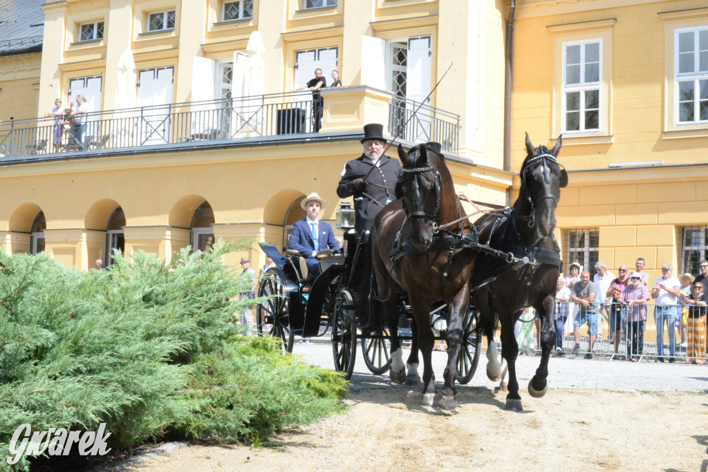 Międzynarodowy Konkurs Tradycyjnego Powożenia CIAT Koszęcin
