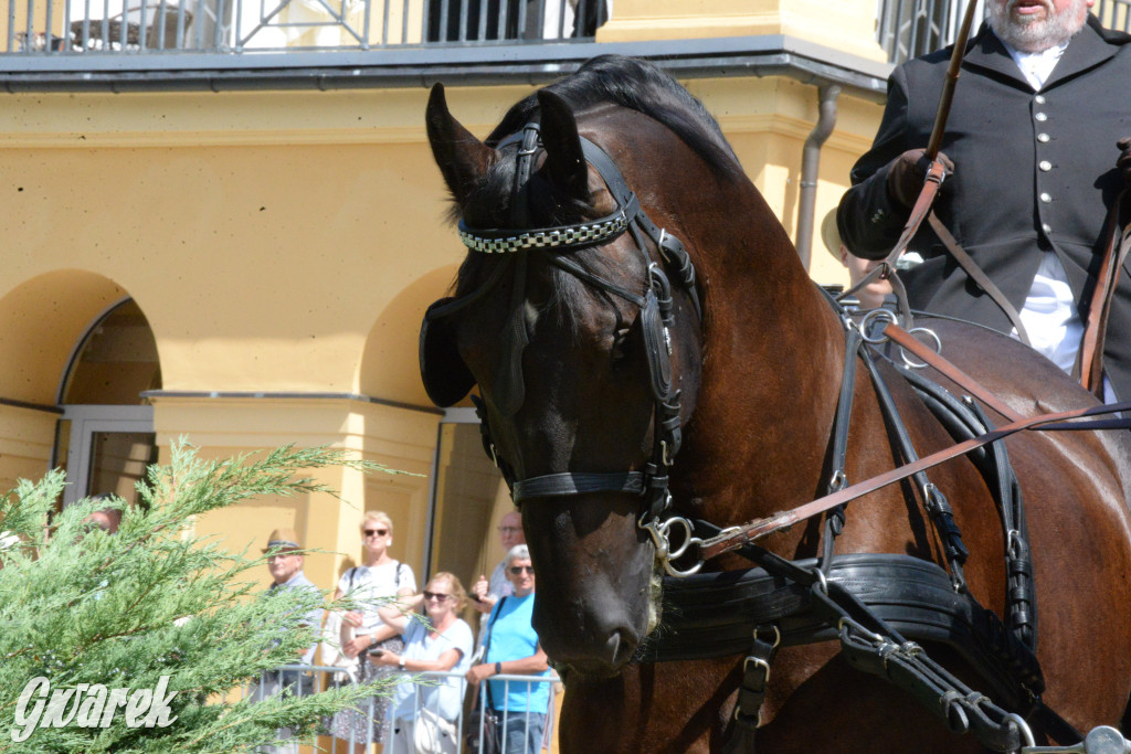 Międzynarodowy Konkurs Tradycyjnego Powożenia CIAT Koszęcin