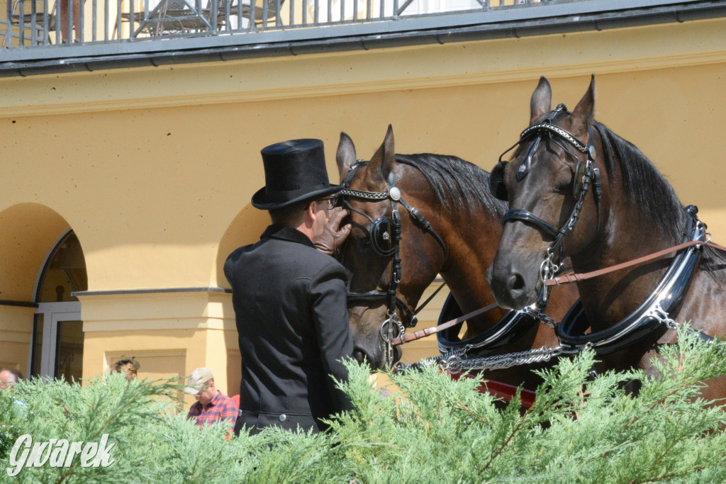 Międzynarodowy Konkurs Tradycyjnego Powożenia CIAT Koszęcin