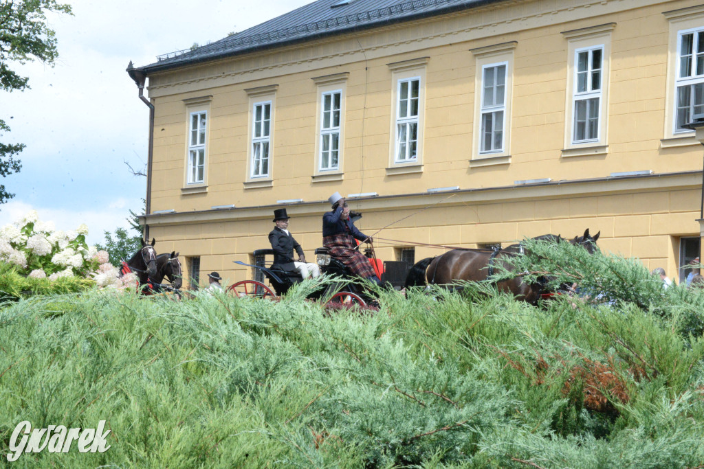 Międzynarodowy Konkurs Tradycyjnego Powożenia CIAT Koszęcin