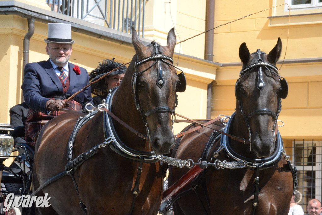 Międzynarodowy Konkurs Tradycyjnego Powożenia CIAT Koszęcin