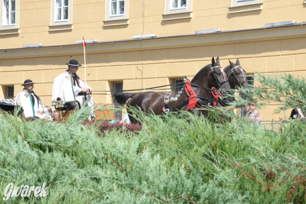 Międzynarodowy Konkurs Tradycyjnego Powożenia CIAT Koszęcin