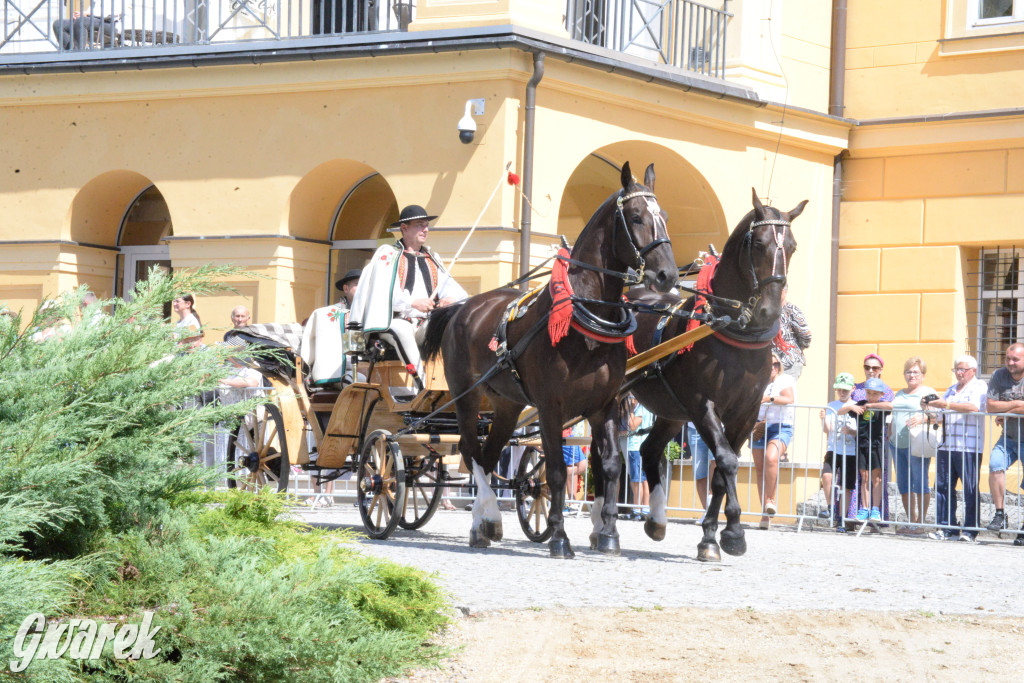 Międzynarodowy Konkurs Tradycyjnego Powożenia CIAT Koszęcin