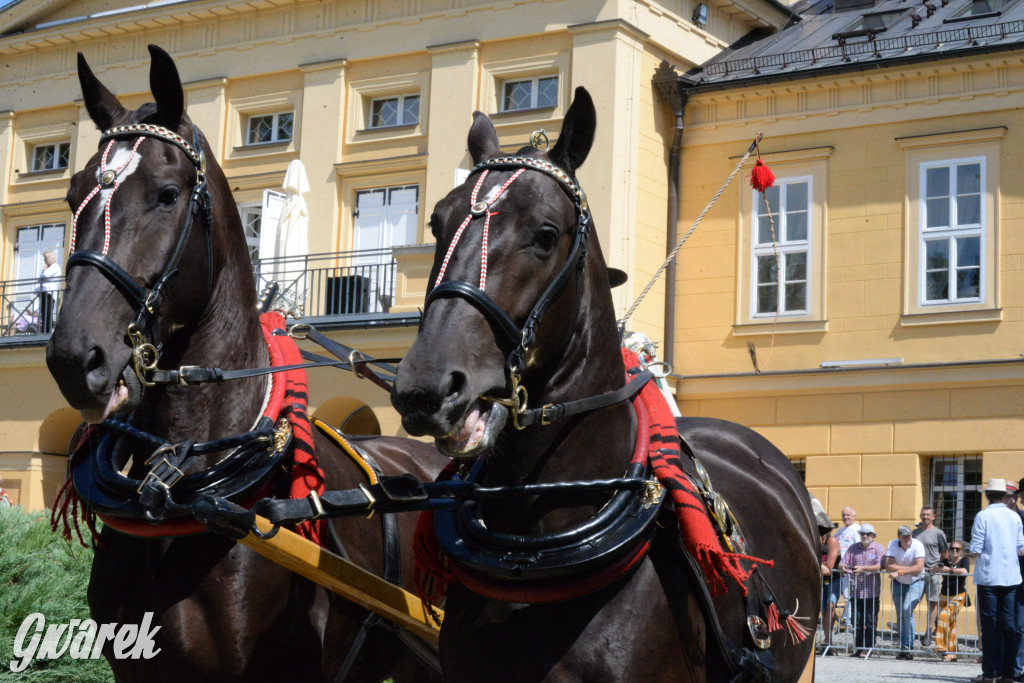 Międzynarodowy Konkurs Tradycyjnego Powożenia CIAT Koszęcin