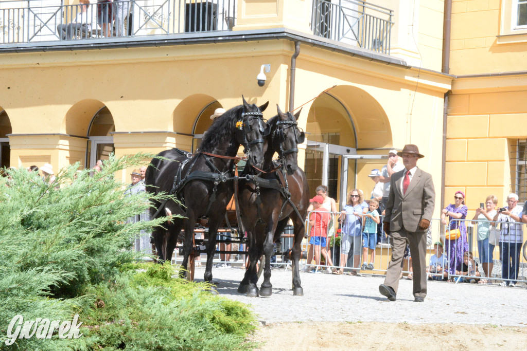 Międzynarodowy Konkurs Tradycyjnego Powożenia CIAT Koszęcin