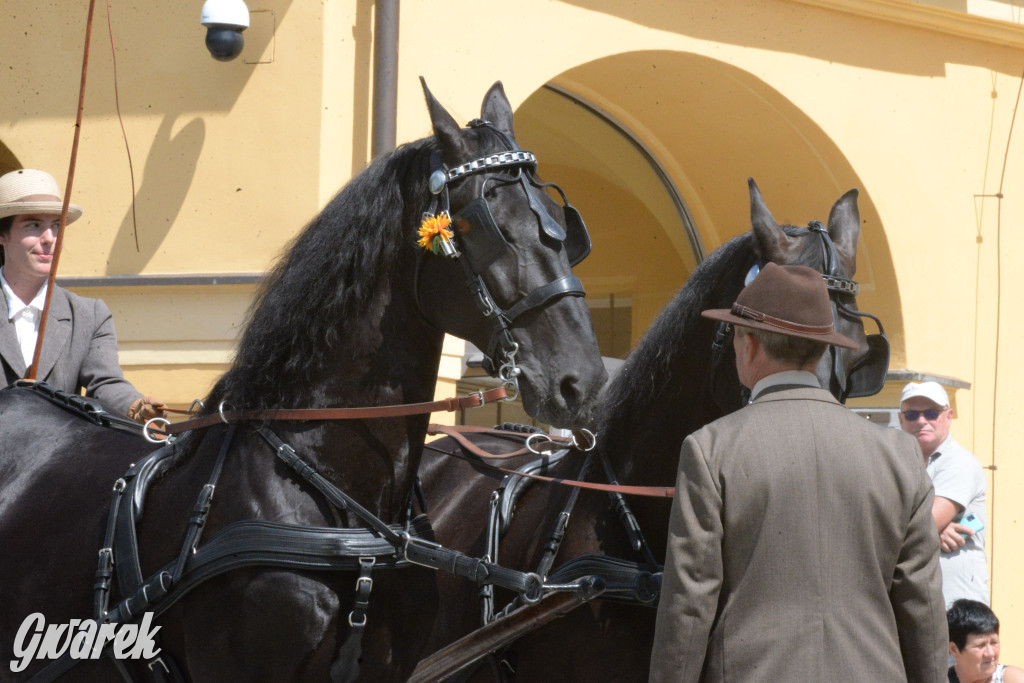 Międzynarodowy Konkurs Tradycyjnego Powożenia CIAT Koszęcin