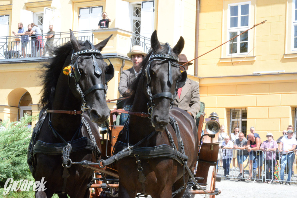 Międzynarodowy Konkurs Tradycyjnego Powożenia CIAT Koszęcin