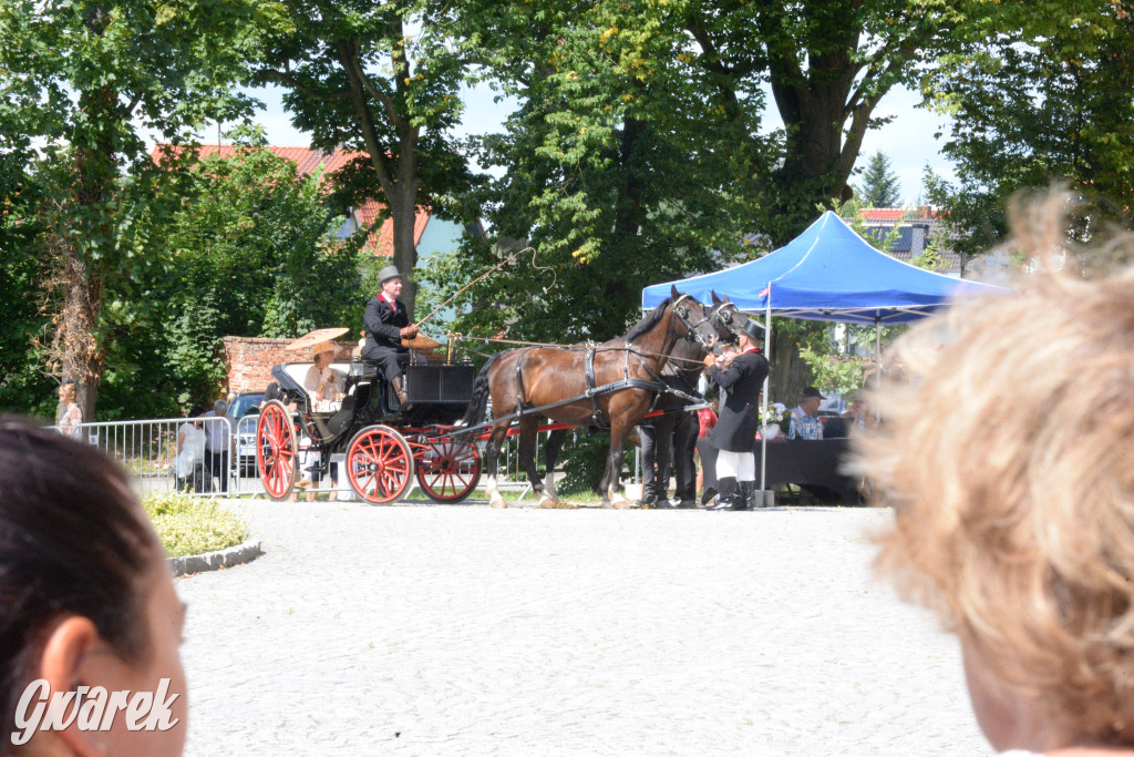 Międzynarodowy Konkurs Tradycyjnego Powożenia CIAT Koszęcin