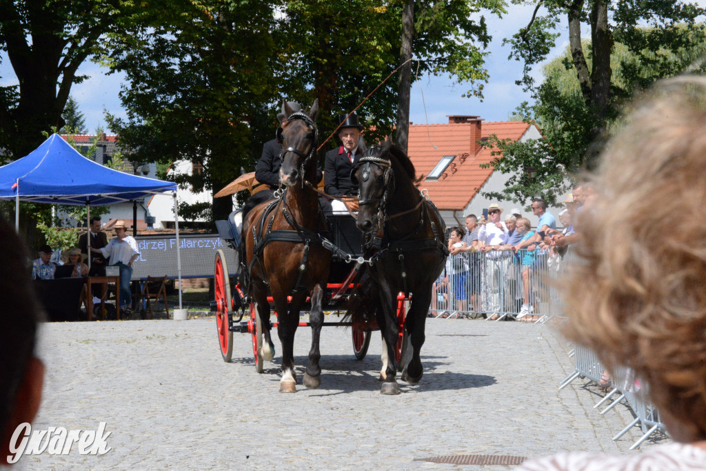 Międzynarodowy Konkurs Tradycyjnego Powożenia CIAT Koszęcin