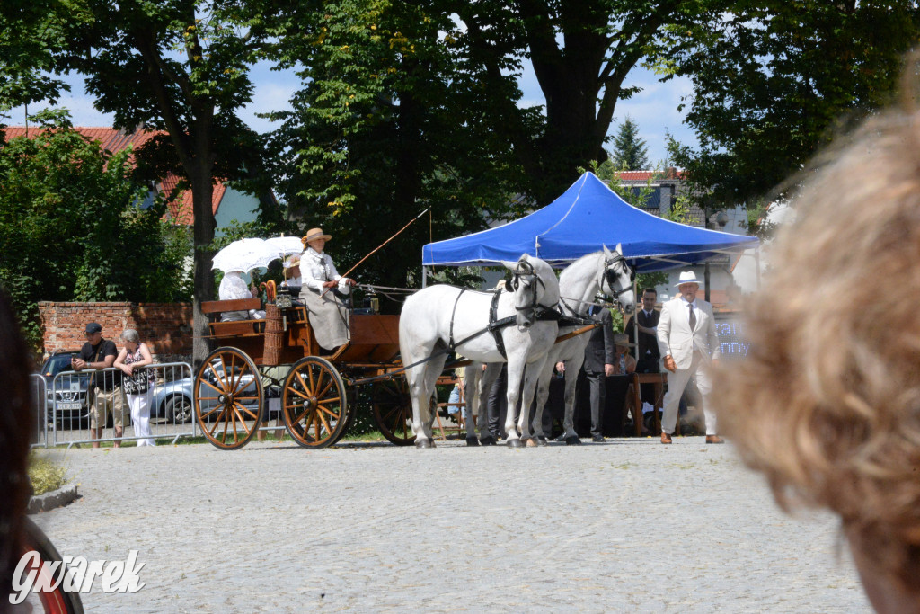 Międzynarodowy Konkurs Tradycyjnego Powożenia CIAT Koszęcin