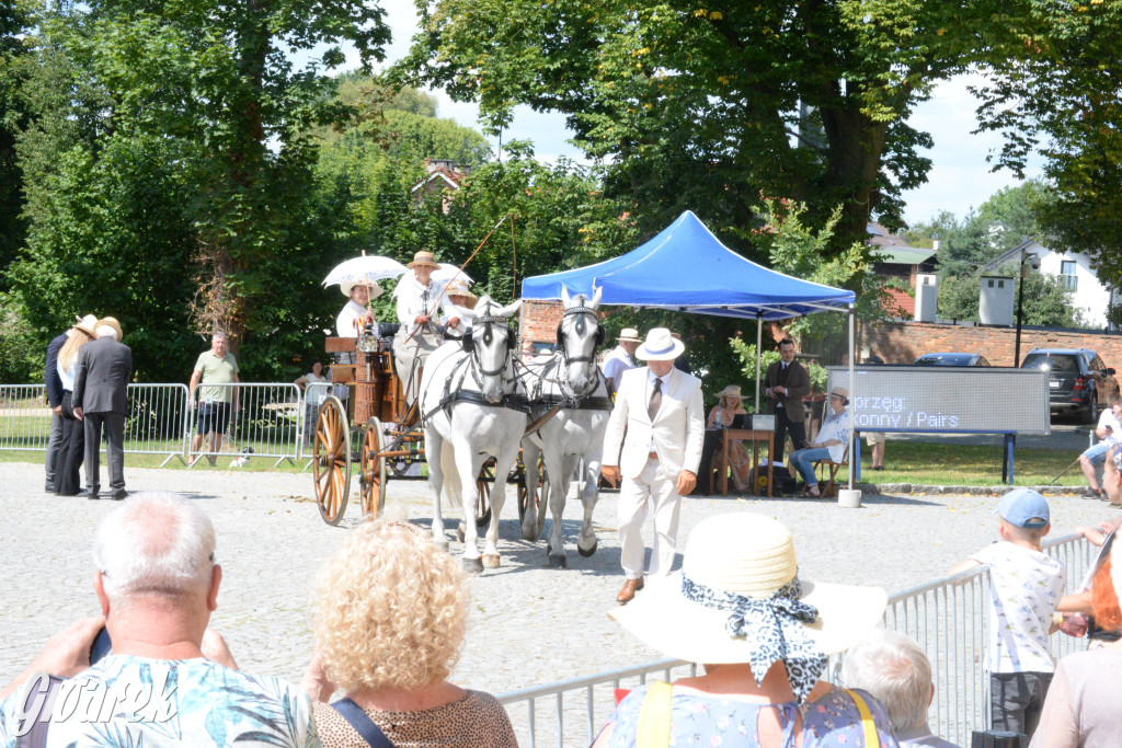 Międzynarodowy Konkurs Tradycyjnego Powożenia CIAT Koszęcin