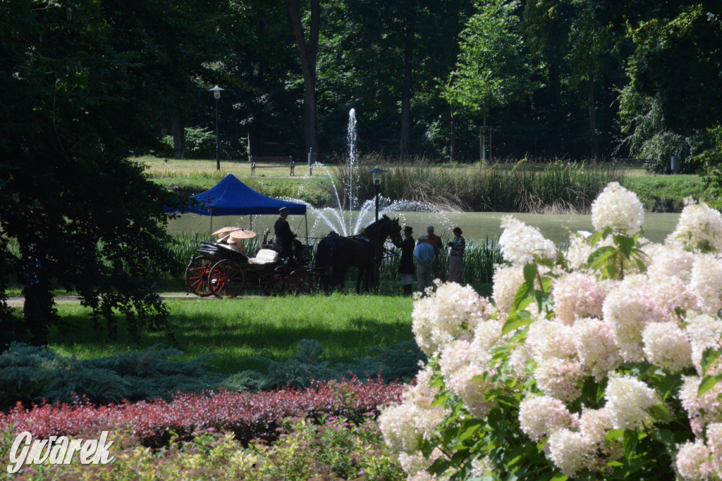 Międzynarodowy Konkurs Tradycyjnego Powożenia CIAT Koszęcin