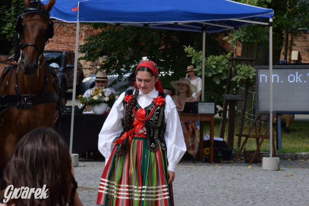 Międzynarodowy Konkurs Tradycyjnego Powożenia CIAT Koszęcin