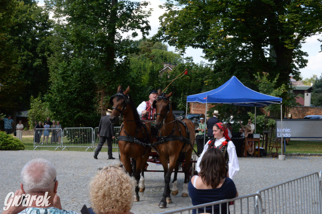 Międzynarodowy Konkurs Tradycyjnego Powożenia CIAT Koszęcin