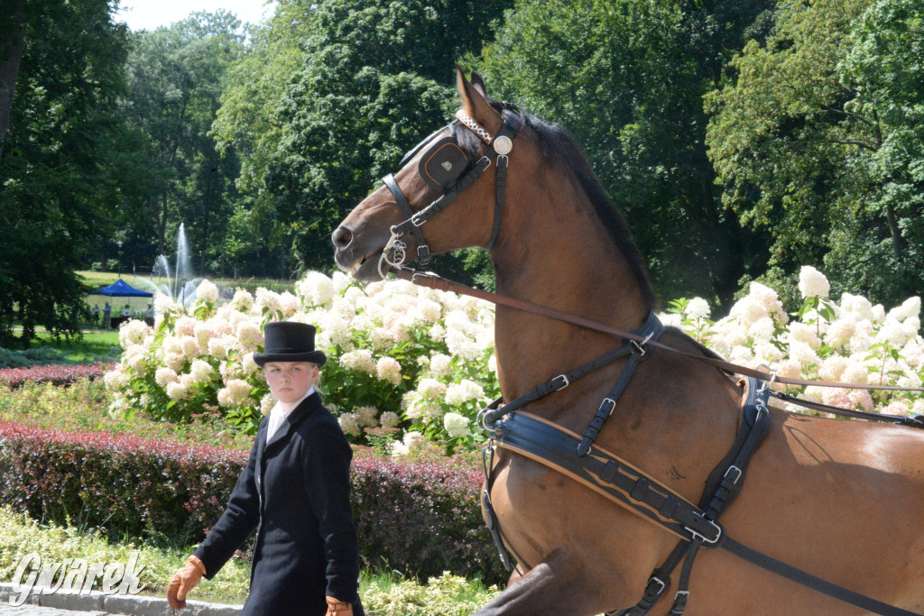 Międzynarodowy Konkurs Tradycyjnego Powożenia CIAT Koszęcin
