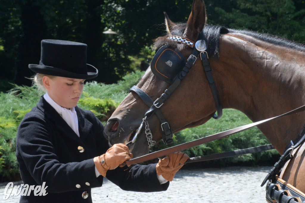 Międzynarodowy Konkurs Tradycyjnego Powożenia CIAT Koszęcin
