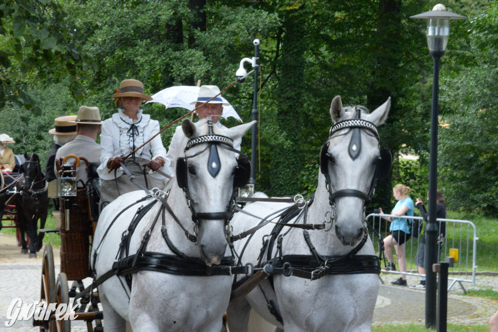 Międzynarodowy Konkurs Tradycyjnego Powożenia CIAT Koszęcin